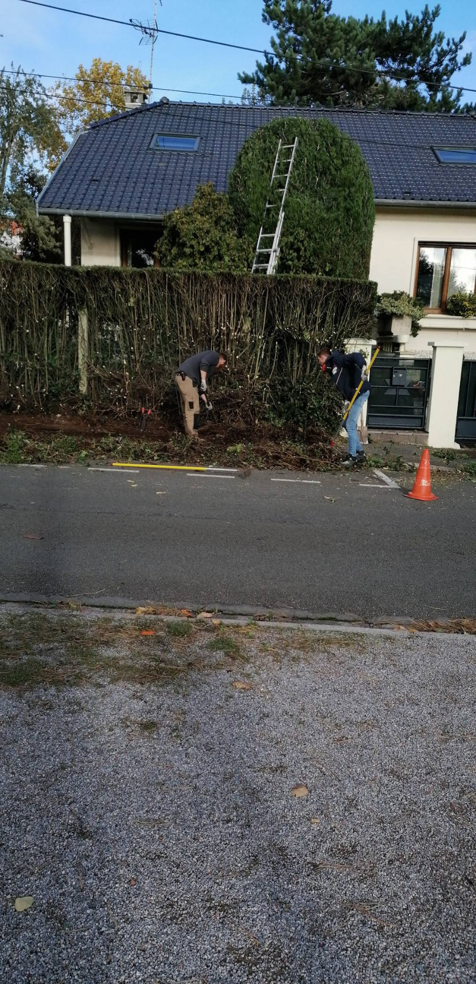 Taille et nettoyage d'une haie en bordure de rue